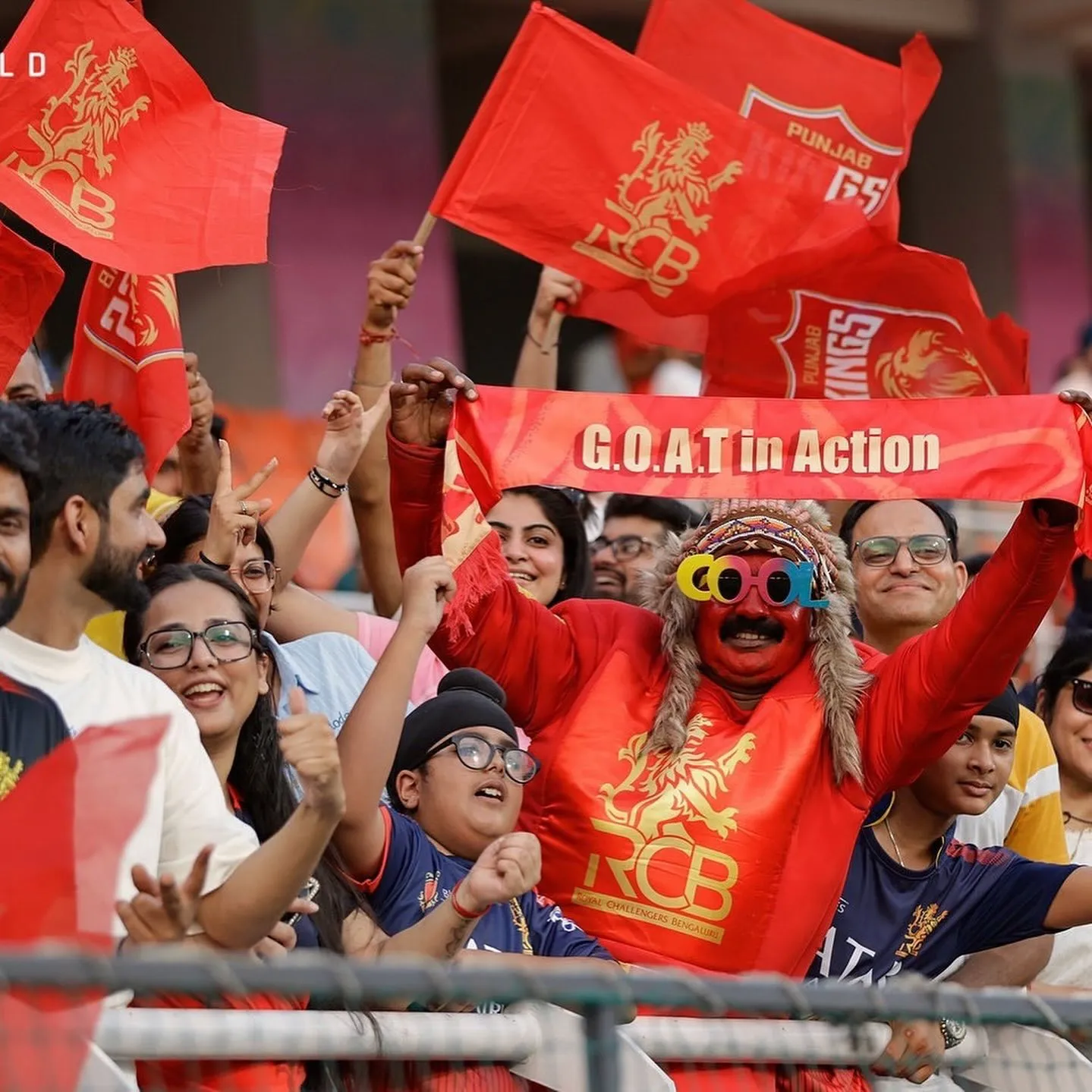 ipl mein rcb ka baap kaun hai